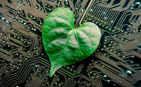 AI power binge delivers best half since 2022 for climate tech venture funding