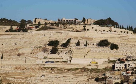 Israelis favor peace with Arab neighbors, reject Gaza two-state solution: poll