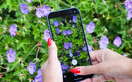 Own a Pixel? You can add device protection now for $5/month - but should you?