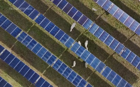 'The end of an era': China enforces mandatory rule to cull inefficient solar panels, signals end of ultra-cheap PV price wars