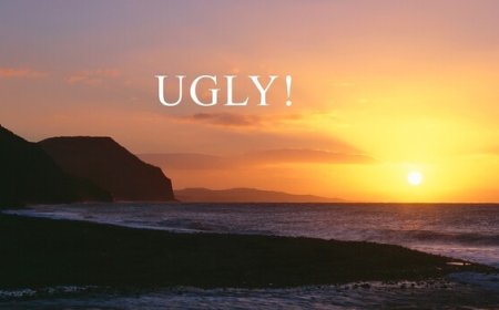 Why Most Landscape Photographers Are Ignoring Half Their Best Shots