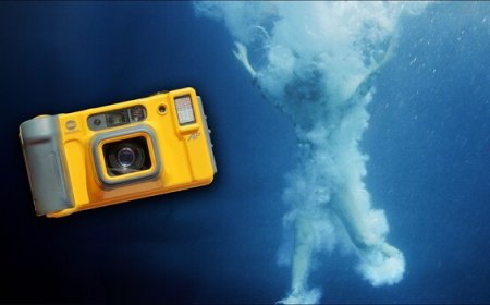 A $35 Film Camera Went to Maui. Here's What Came Back.