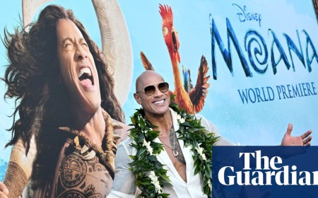 New barnet: why is everyone wigging out over Dwayne Johnson’s Moana hairpiece?