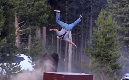Grandpa Thrown Into the Air by Bison Stopped to Take Photo Moments Before