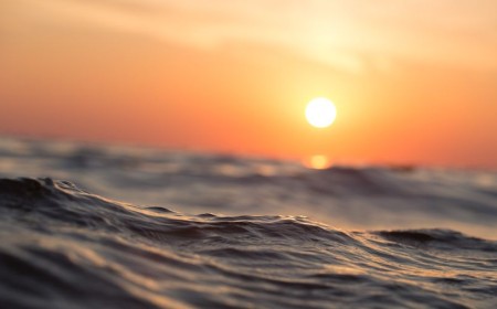 'We can no longer afford to be blind': Danish startup raises funds to build underwater CCTV-like tech to track drones and more