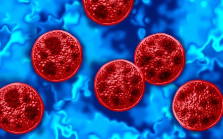 A Diarrhea-Causing Parasite Is Spreading. Should You Stop Eating Salad?