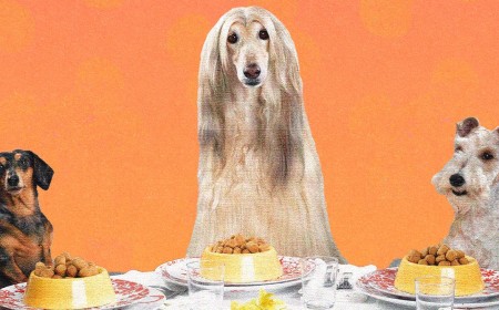 We Make Lovely Home-Cooked Meals for Ourselves. Why Not Do the Same for Our Dogs?