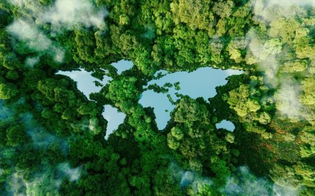 In a volatile world, a consistent sustainability policy is critical