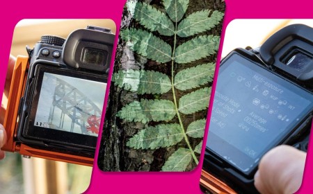 Understanding multi-exposure photography: key terms explained, in-camera techniques, what to shoot and more