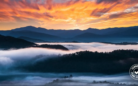 Tennessee Tourism Celebrates Real Photographers by Banishing AI Images