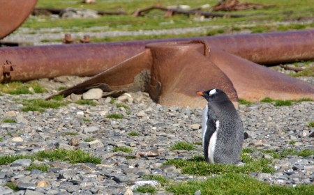Ubuntu emphasizes Arm64 support – and gets Rustier