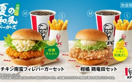 Cyberattack threatens utterly critical infrastructure in Japan: KFC