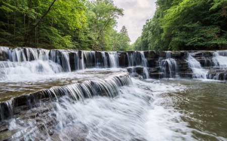 15 Beginner Photography Mistakes (and the One-Line Fix for Each)