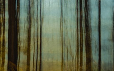 What Photographers Rarely Learn From Painting