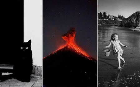16 Award-Winning Photographers Showcase the Power of iPhone