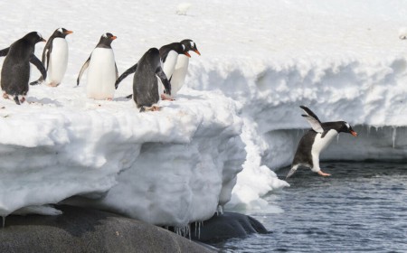 Torvalds challenged the haters to fork Linux. Someone said 'hold my beer'