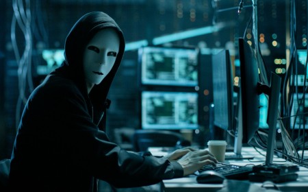 Attackers pummel critical WordPress vuln to create all sorts of mischief