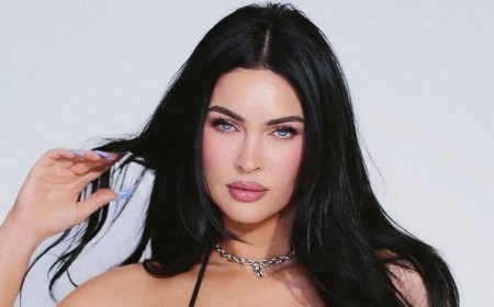 Megan Fox, 40, fires back at troll who branded her lingerie photos 'unbelievably embarrassing' while taking a savage swipe at her exes