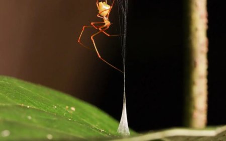 June research roundup: 6 cool science stories we almost missed