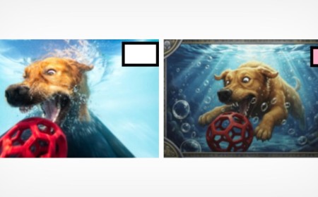 Dog Photographer Loses Copyright Case Over AI-Generated Comic Version of Her Image