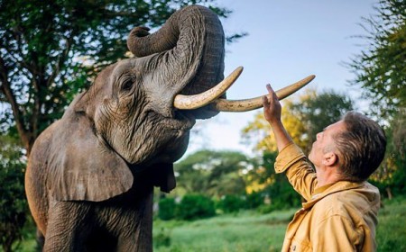 How to watch Evolution from anywhere – it's *FREE*