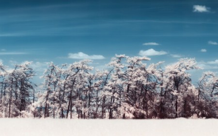 5 Ways to Shoot Landscapes in Summer