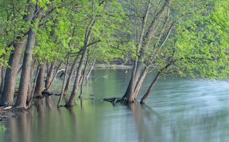 The Problem With Planning in Landscape Photography