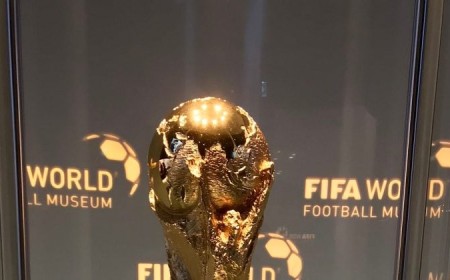 World Cup quarterfinal hype is spilling into crypto markets, from fan tokens to meme coins