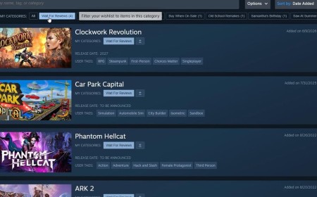 Steam wishlists are getting categories, making it even easier to organise all those games you'll definitely buy next sale