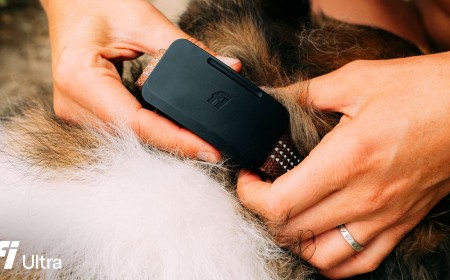 Fi Ultra becomes first dog tracker powered by Starlink satellites – the Fi Ultra Dog Tracker makes Fido trackable via satellite, onboard GPS, and LTE connectivity