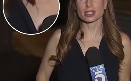 Cockroach Crawls on Reporter on Live TV—and Her Reaction Is Shocking
