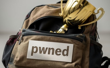 Thief posed as Wi-Fi fixing hero, then stole priceless trophy