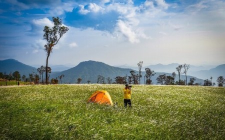 What Is Base ISO and Why Does It Gives the Cleanest Photos?