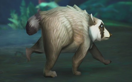 World of Warcraft and RuneScape Fans Want Official Jimothy Support After Game Devs Show Love for Viral Raccoon