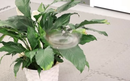 ‘Phantom Twist’ drone spins so fast that it is nearly invisible — flying device adds motion blur to the real world