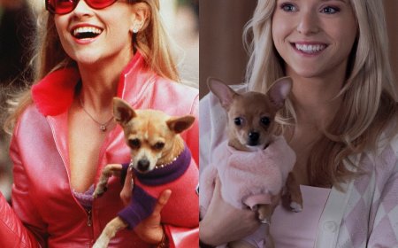 How Elle Woods' Origin Story in Elle Differs From Legally Blonde