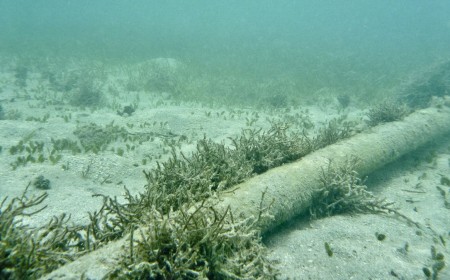 Oregon will start charging service providers for undersea cables using its sea floor — millions accrued over years will go toward state schools