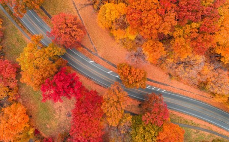 11 Landscape Photography Mistakes Beginners Keep Making