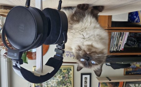 'Can't fault the HEDDphone D1 in any meaningful way': HEDD's progeny are emphatically excellent wired headphones at a not-unreasonable price