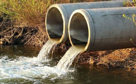 Watt a load of crap: UK start-up is turning number twos into number one with shockingly superior sewage battery tech