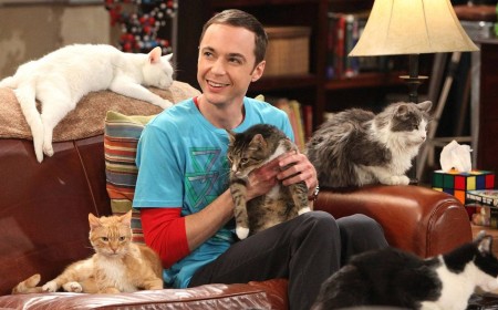 5 Big Bang Theory Spinoffs That Should Happen After Stuart Fails To Save The Universe