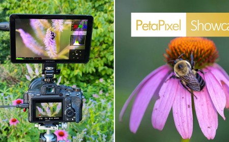 Neewer’s Bright F700U OLED Monitor Earned a Place in My Camera Bag