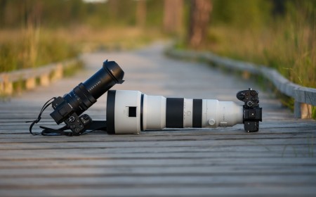 I took the new Sony RX10 V superzoom and a pro Sony mirrorless camera with 400-800mm lens on a bird photography trip — here’s how the two systems compared