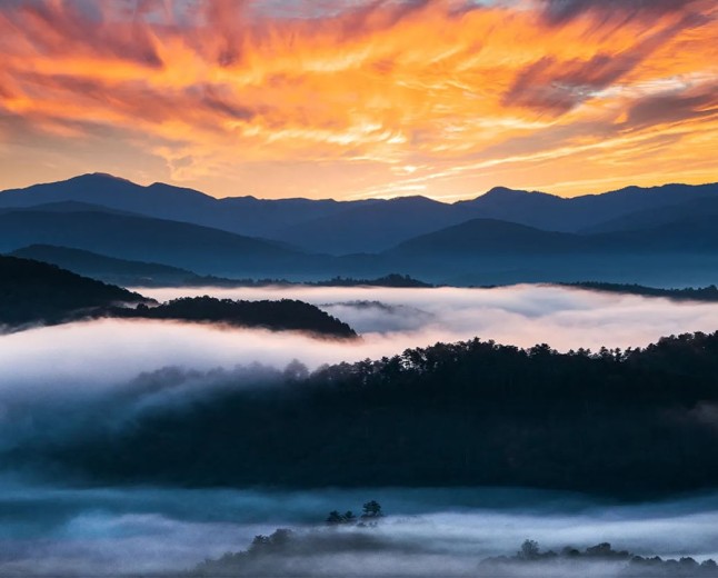 Tennessee Tourism Celebrates Real Photographers by Banishing AI Images
