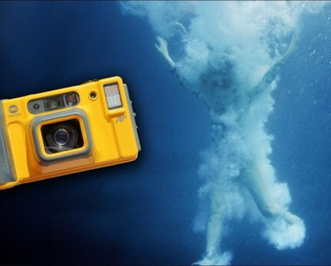 A $35 Film Camera Went to Maui. Here's What Came Back.
