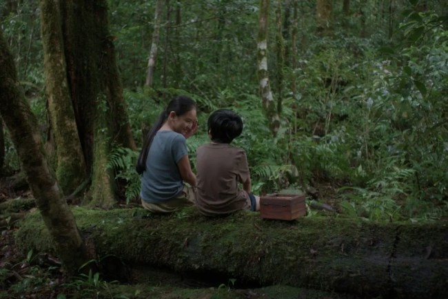‘Hearing’ Review: Vietnamese Slow-Burn Is a Feast for the Senses