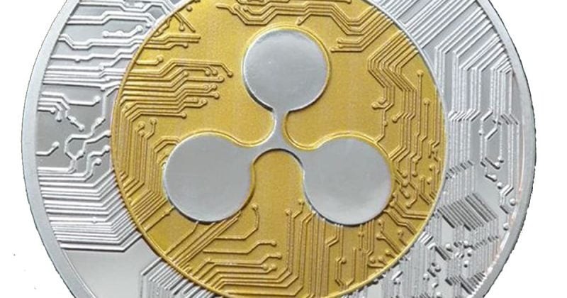 XRP network activity surges 655% with active addresses averaging 35,700