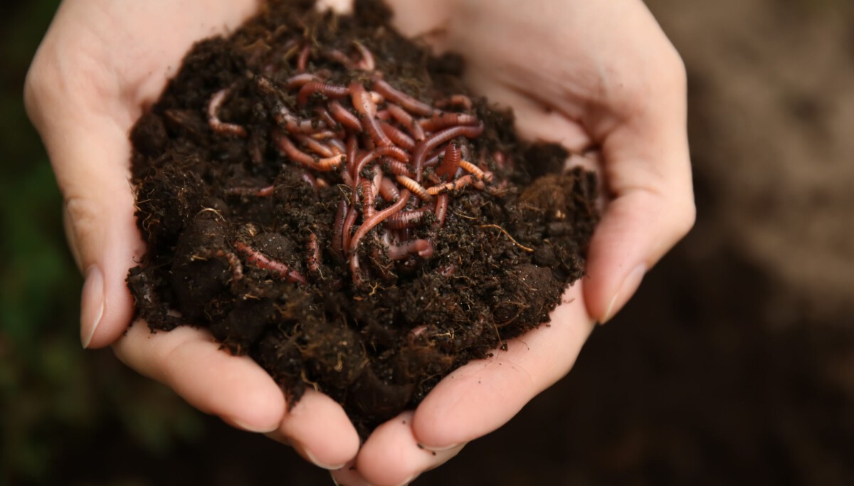 ChainDrop worm crawls into npm supply chain, evades standard defenses