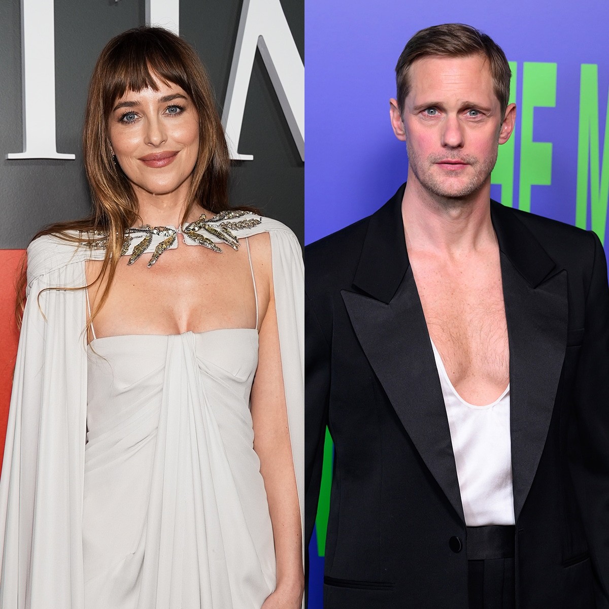 See Dakota Johnson, Alexander Skarsgård in Steamy Makeout Scene