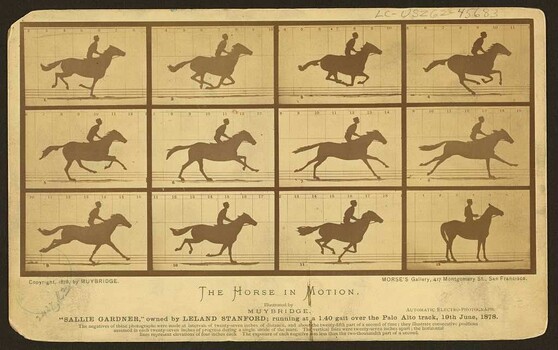 Murder, Movies, and Horses: The Strange Life of the Man Who Made Photographs Move